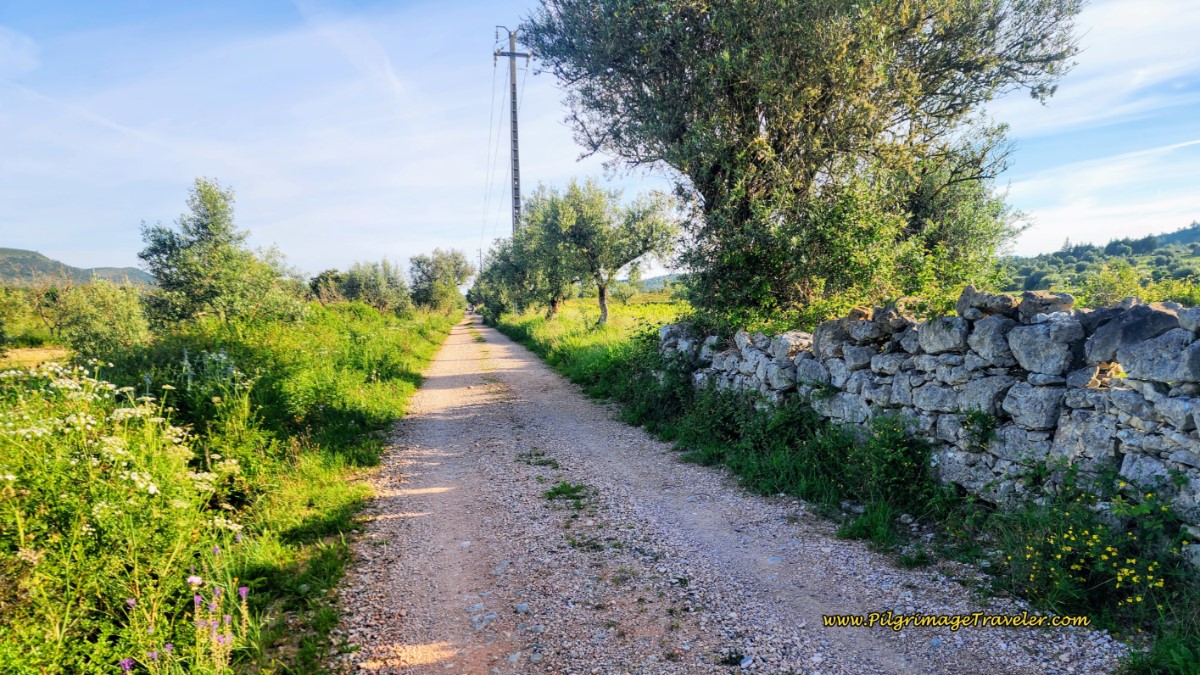 More Quiet Lanes Toward Fartosa