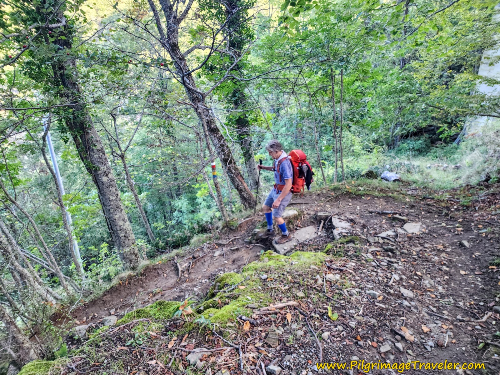 Trail Begins to Switchback