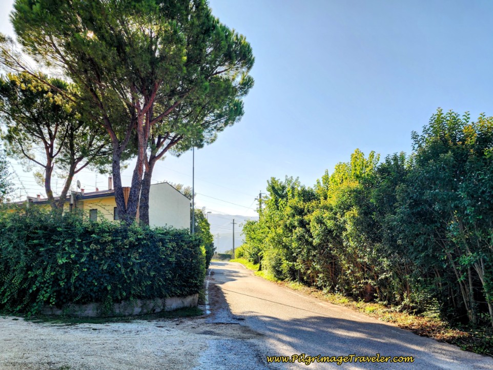 Way of St. Francis: Day Twelve, Spello to Trevi - Along the Via Londra Through the Countryside