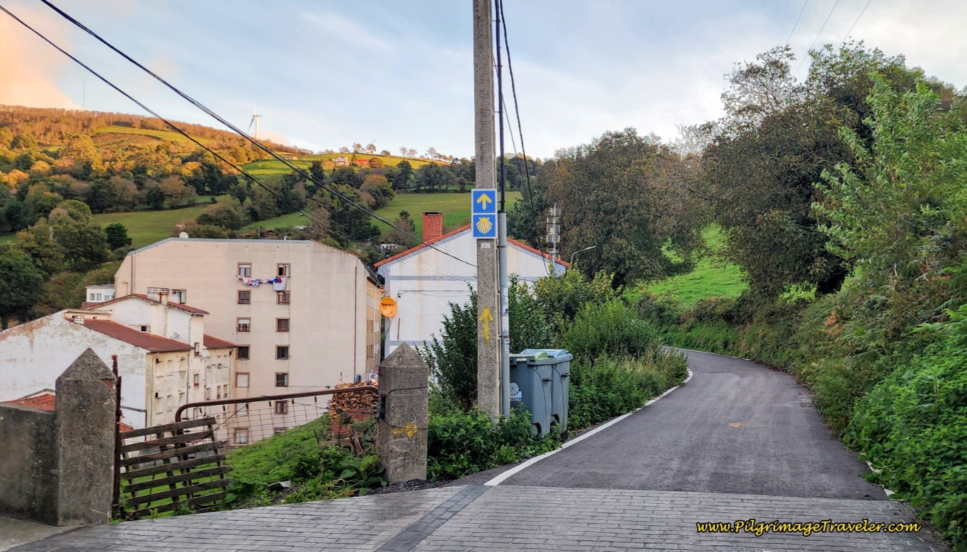 Begin Long Climb, Up/Out of Tineo