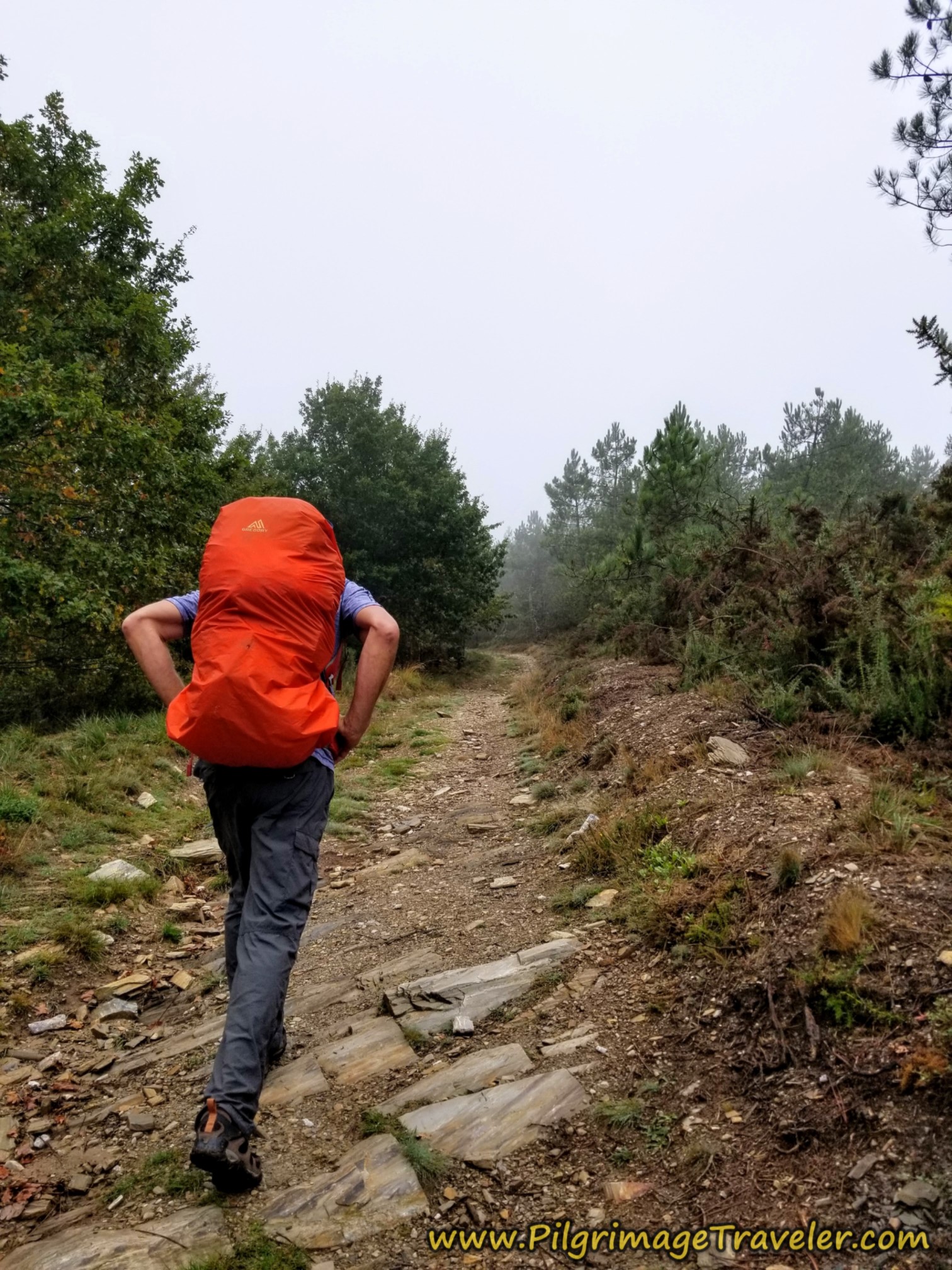 Rich Climbing on Rougher Road