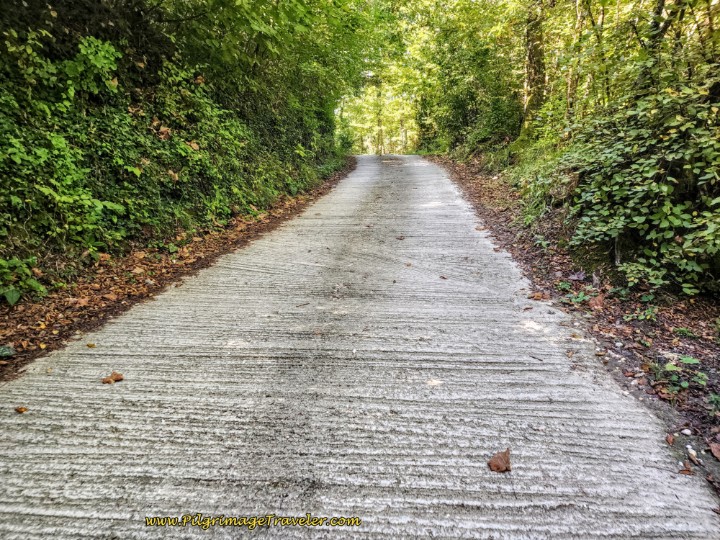 Way of St. Francis: Day Eighteen, Poggio Bustone to Rieti - Corrugated Concrete Along the Via Foresta
