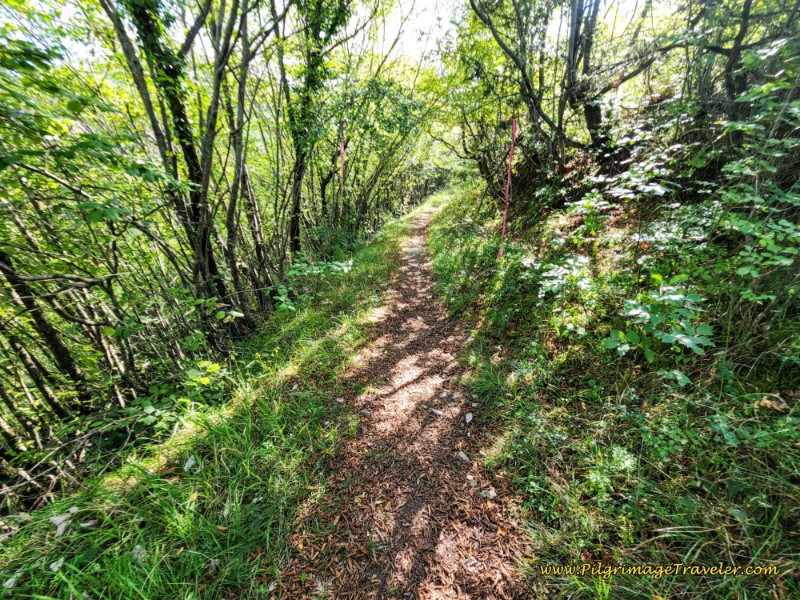 Way of St. Francis: Day Fifteen, Spoleto to Macenano - Final Ascent for the Day