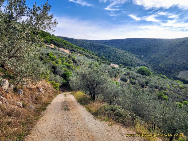 Gravel Lane Towards Campello Alto Way of St. Francis: Day Thirteen, Trevi to Poreta - Gravel Lane Towards Campello Alto