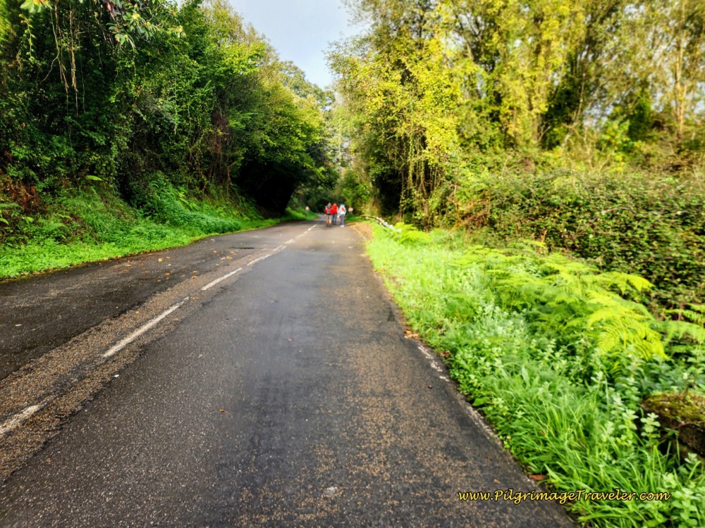 Join the AS-375 near Olloniego on day six of the Camino de San Salvador Join the AS-375