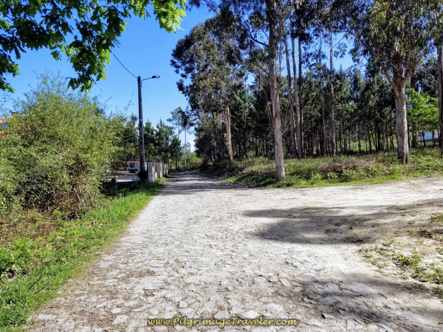 Northward from Fontoura on Cobblestone Road on day nineteen on the Central Route of the Portuguese Camino Northward from Fontoura on Cobblestone Road on day nineteen on the Central Route of the Portuguese Camino