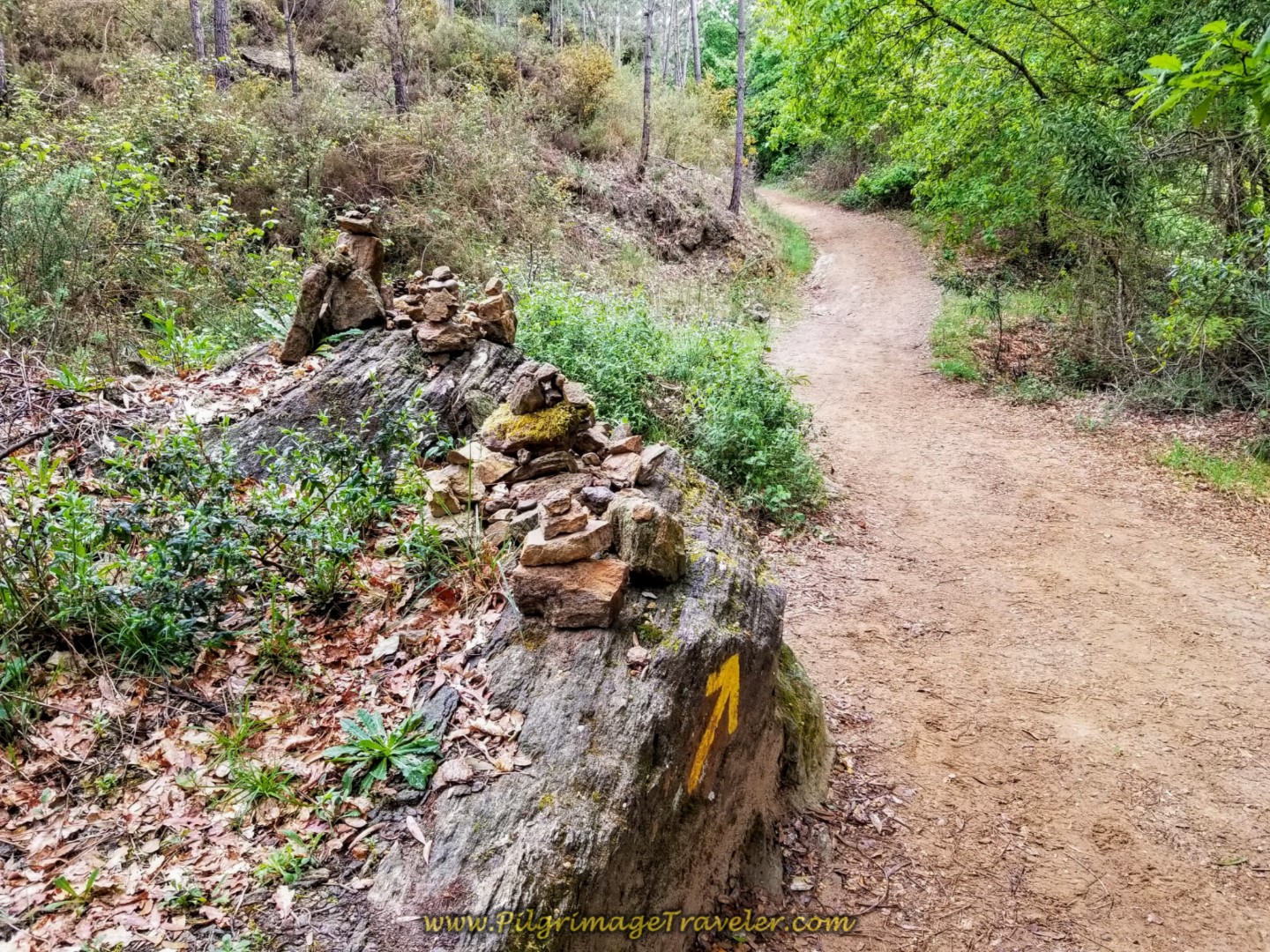 Passing By Meditation Rocks on day eighteen on the Central Route of the Portuguese Camino