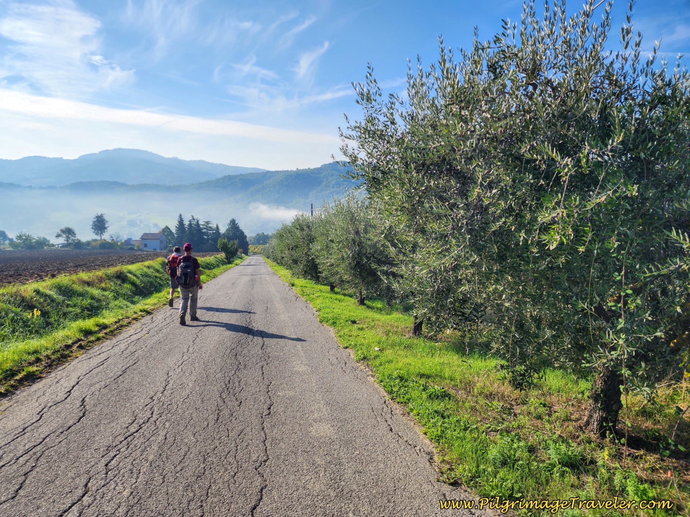 Pavement Down From the Ridge Top