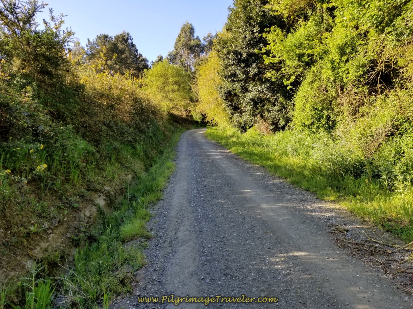 The Way Turns to Gravel as the Climb Steepens on day two of the La Coruña Arm of the Camino Inglés
