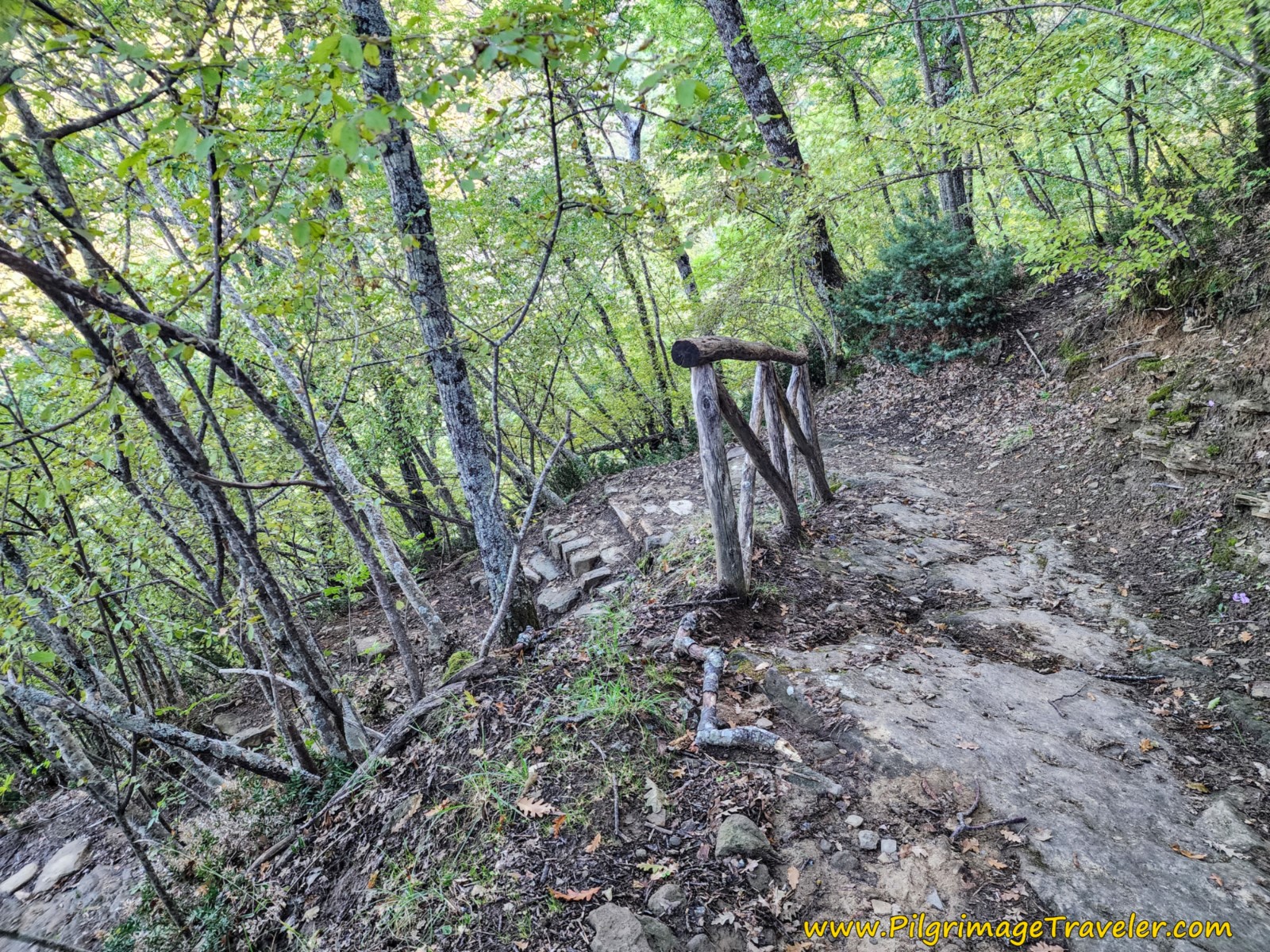 Steps and Switchbacks