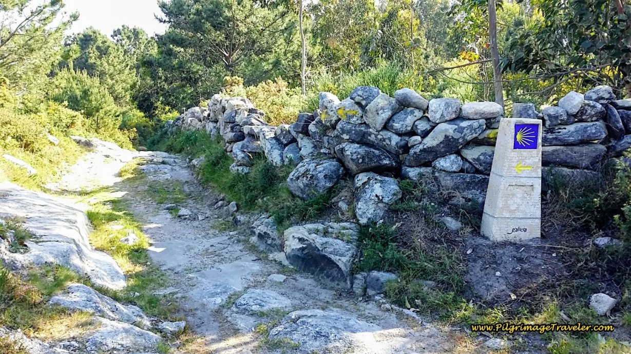 Straight On Here at Waymark