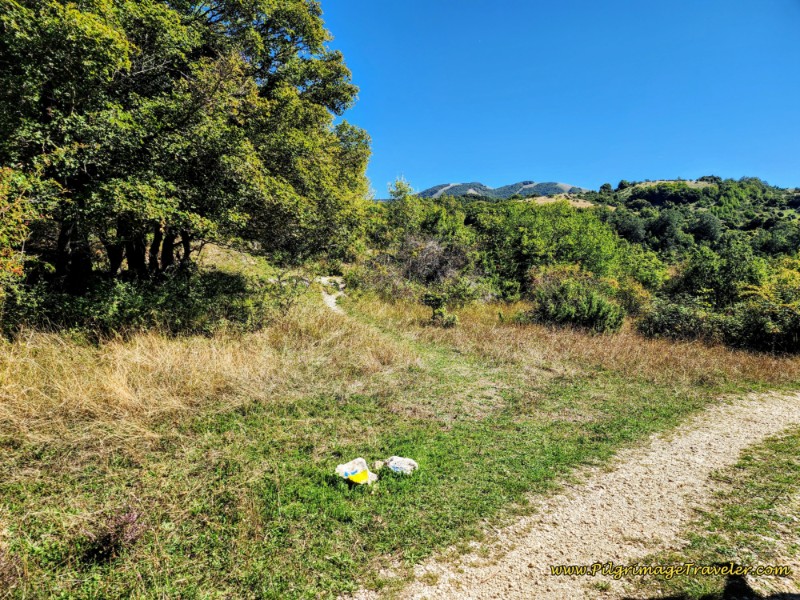 Way of St. Francis: Day Seventeen, Piediluco to Poggio Bustone - Trail Leaves Lane at Ridge Top