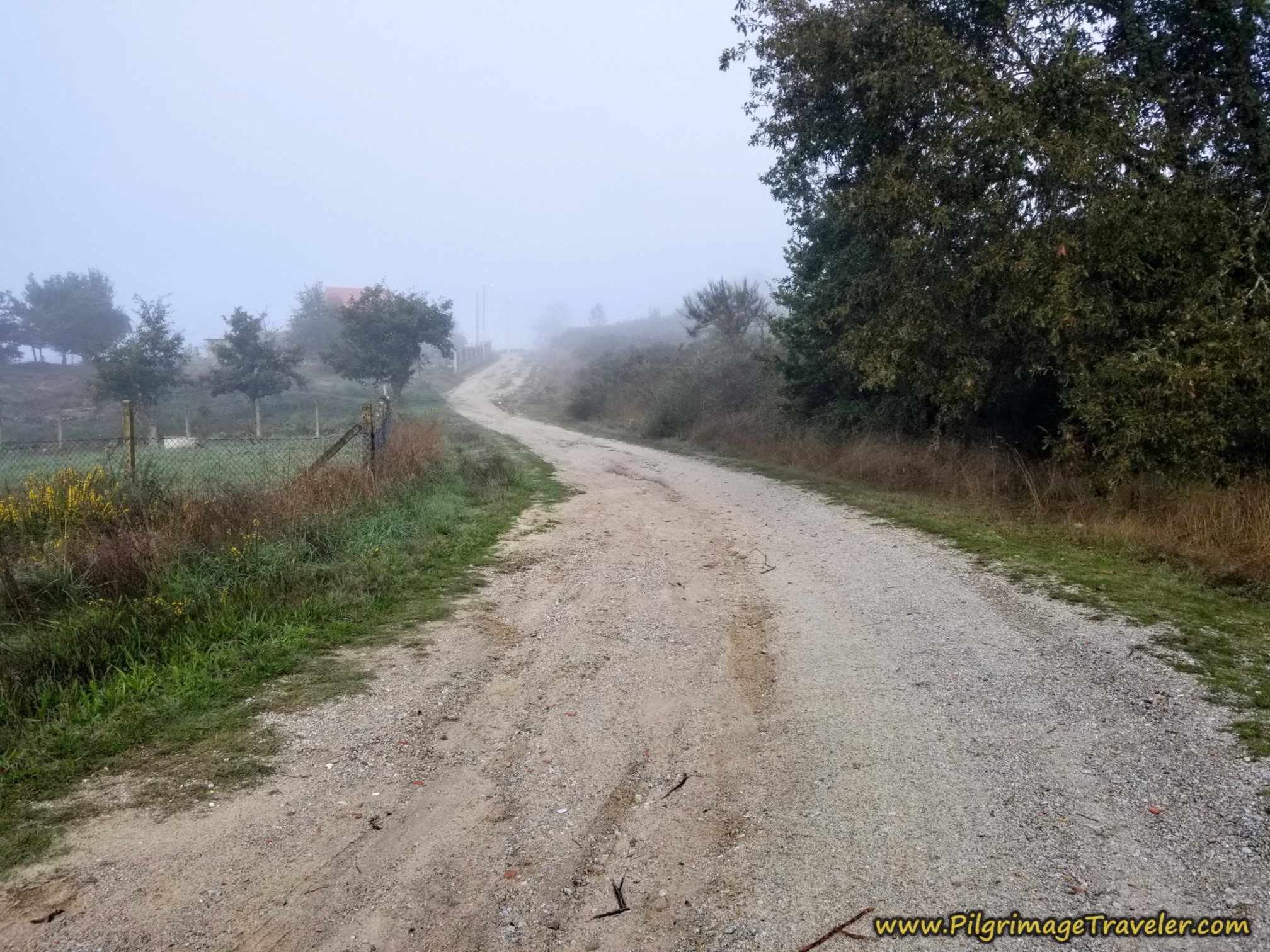 Uphill Walking on Lane Continues