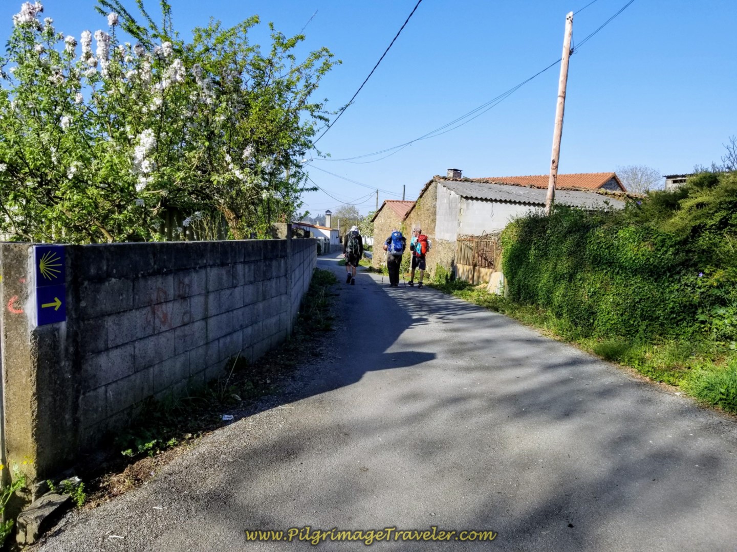 Walking Through Vilariño on day seven of the Camino Inglés