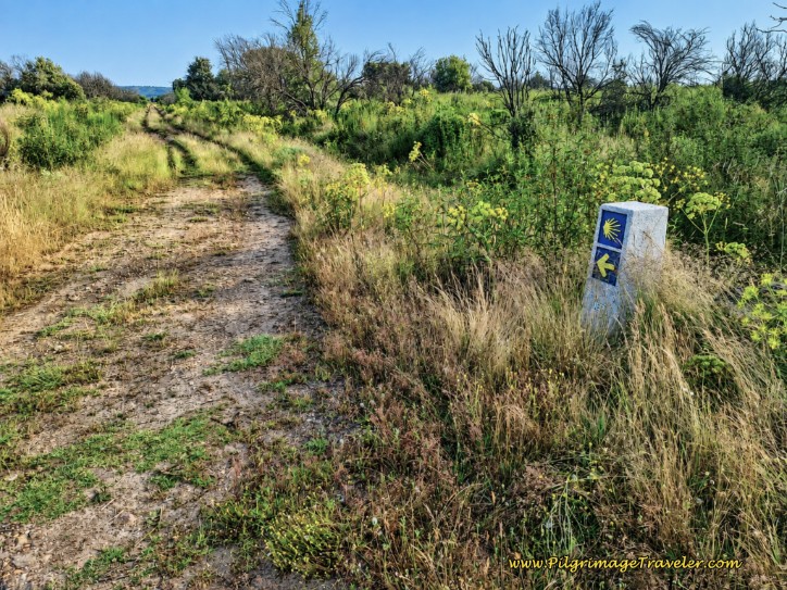 Pass the 330.1 Kilometer Waymark