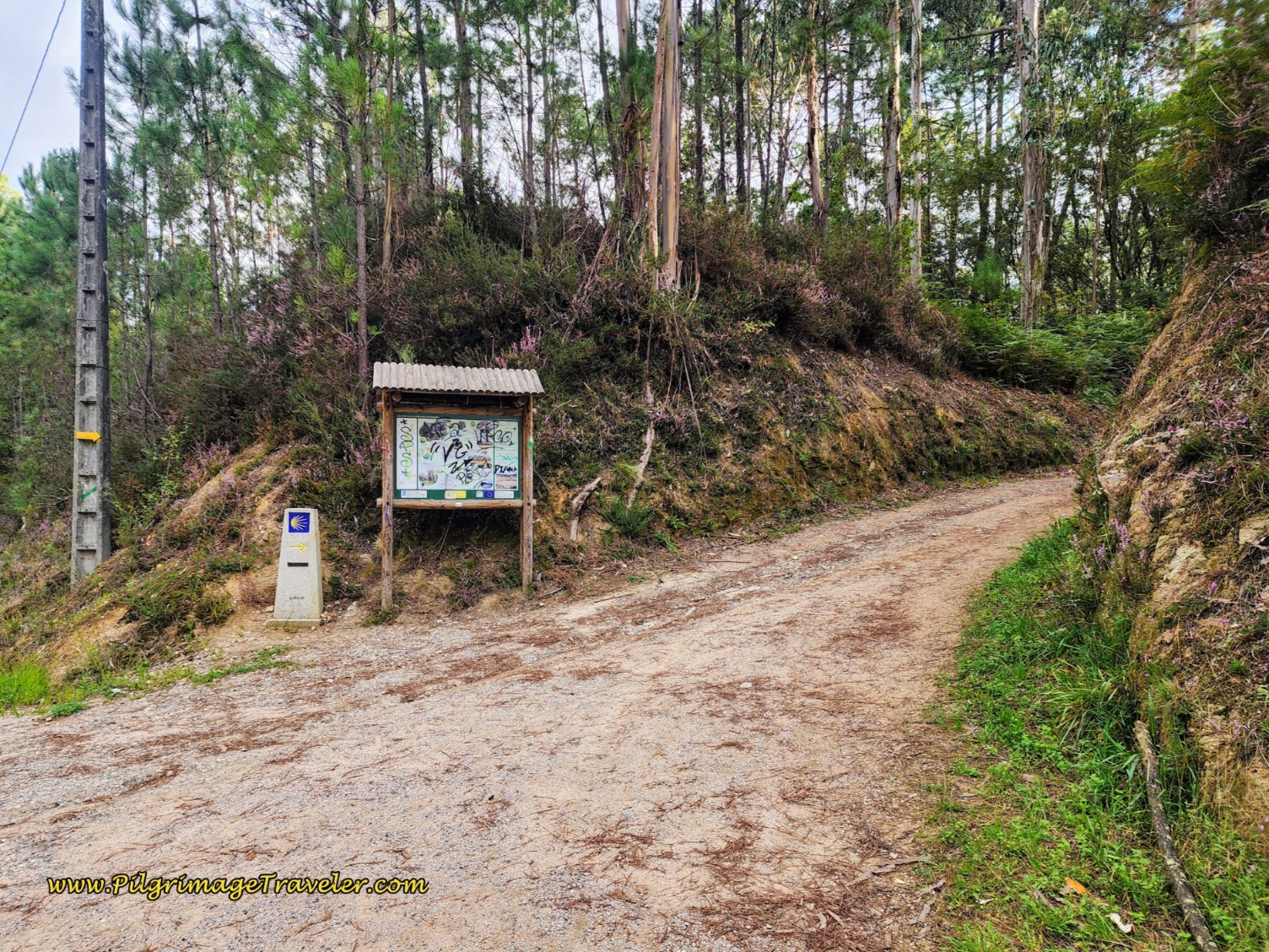 Close-up of Turn Off PO-342