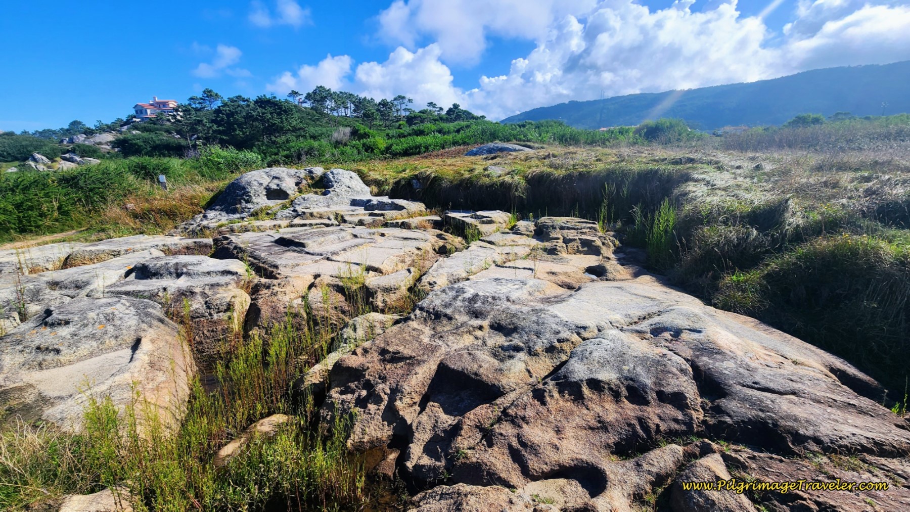 Salt Production Slabs