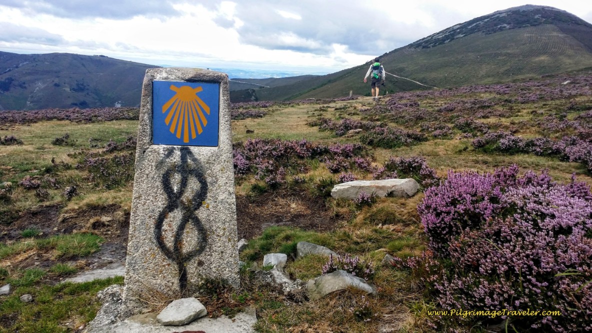Never Stop Walking ~ Mantra for Day Five, Camino Primitivo