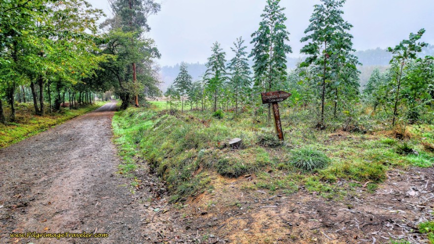 Turnoff Towards A Portela