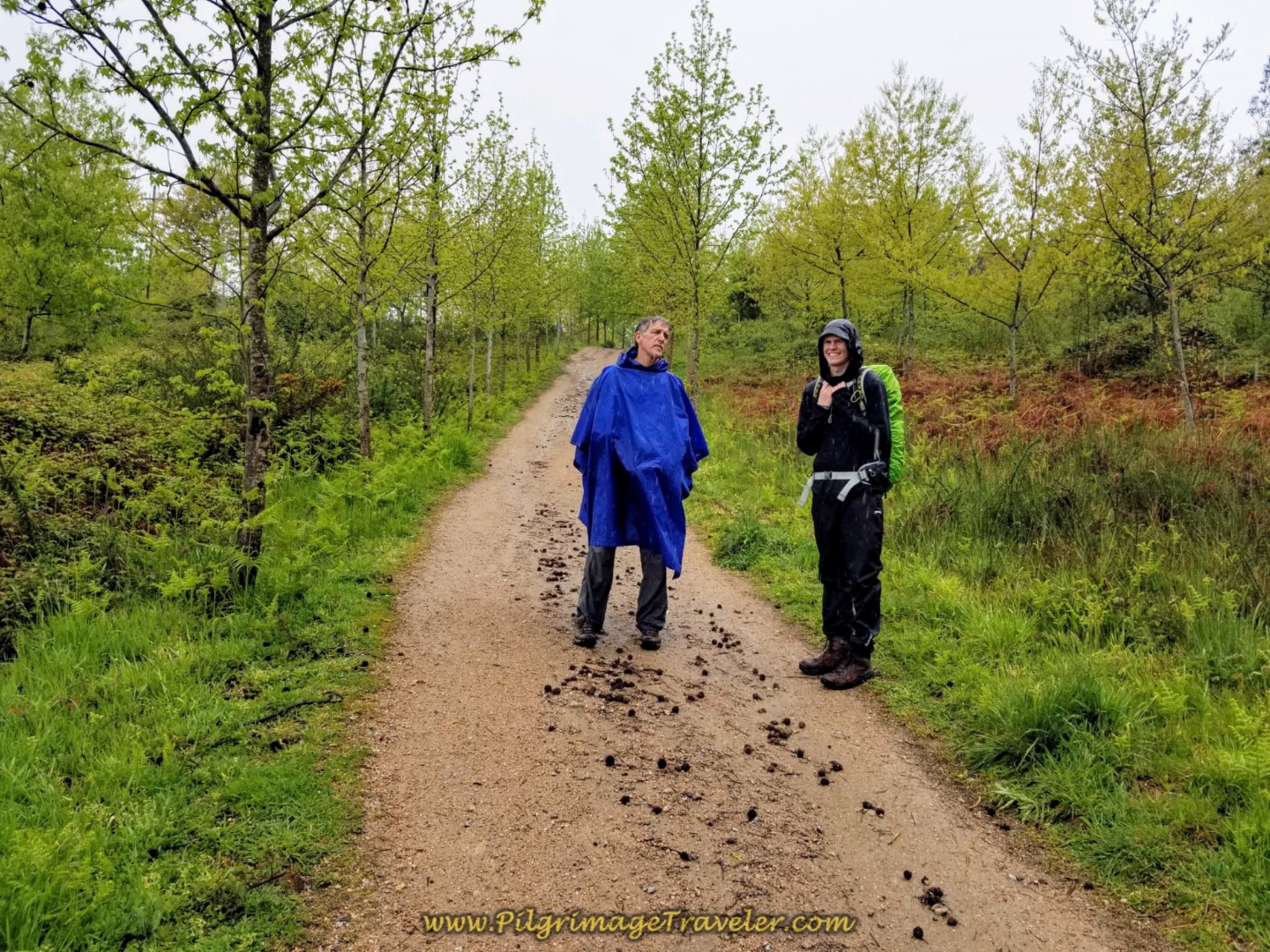 Brief Off Pavement Section on day twenty-one of the central route of the Portuguese Camino
