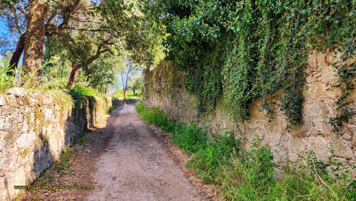 Interesting High Walls of the Dirt Road, the Rua de Maracanã