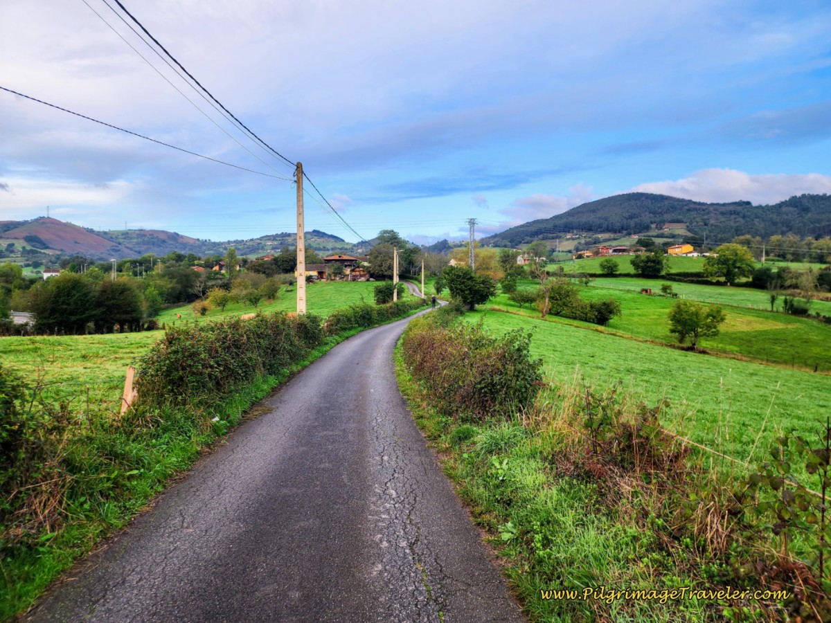 Quiet Pavement Through More Countryside