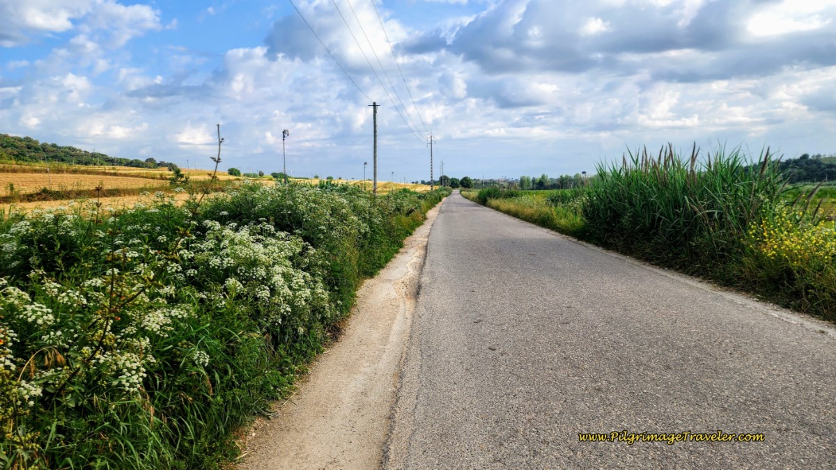 One Kilometer to go to Vale de Figueira