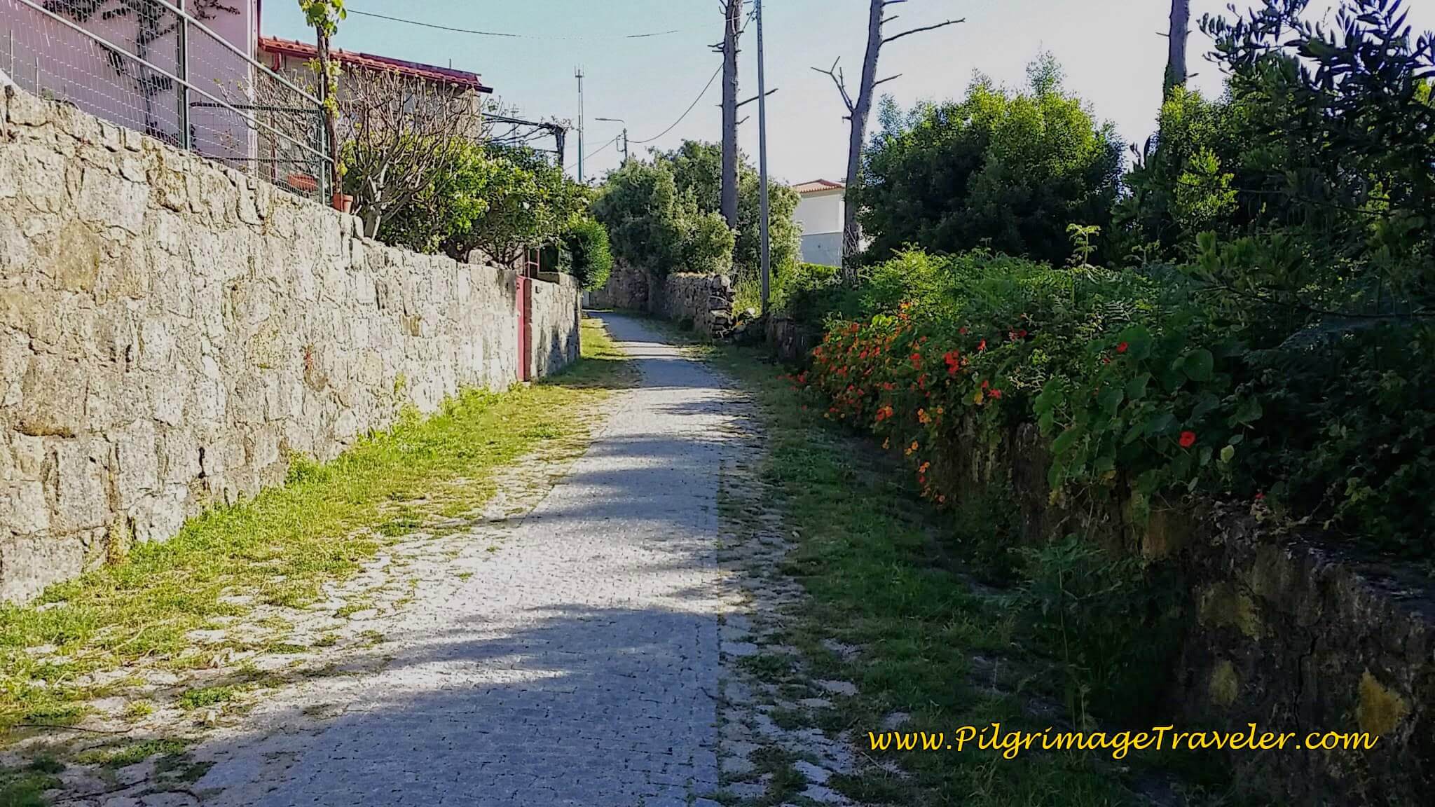 The Path to Montedor on day eighteen of the Portuguese Way on the Senda Litoral