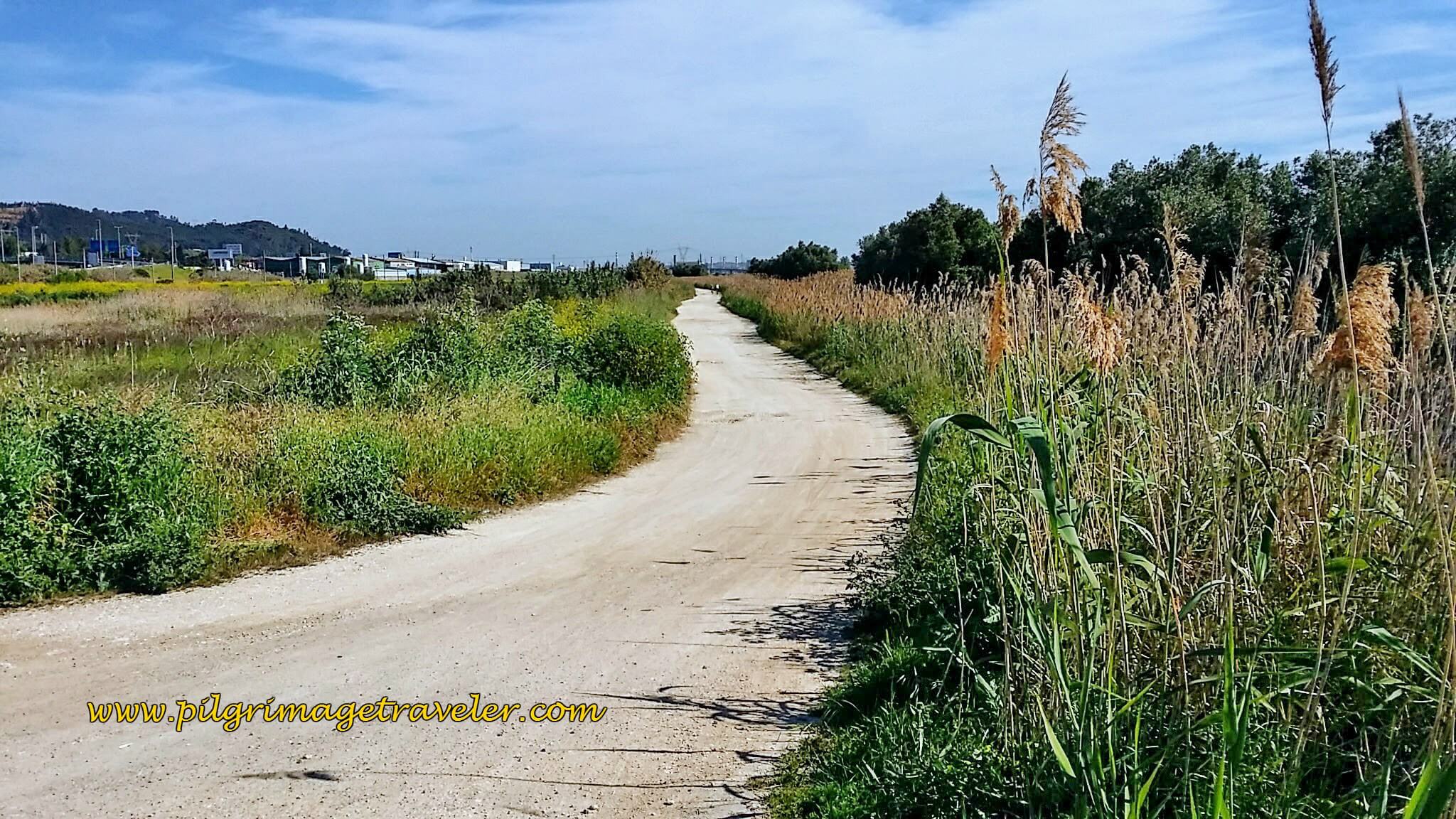 Long, Hot Lane Towards Castanheira do Ribatejo on the Portuguese Way
