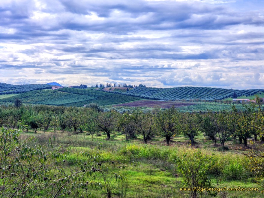 Way of St. Francis: Day Twenty-One, Ponticelli to Monterotondo - Estate Country Along the Via Vecchia Nomentana