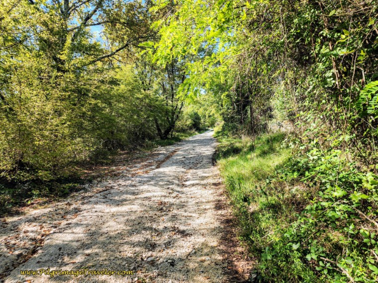 Way of St. Francis: Day Nineteen, Rieti to Poggio San Lorenzo - Forested Walk After the Ponte Sambuco