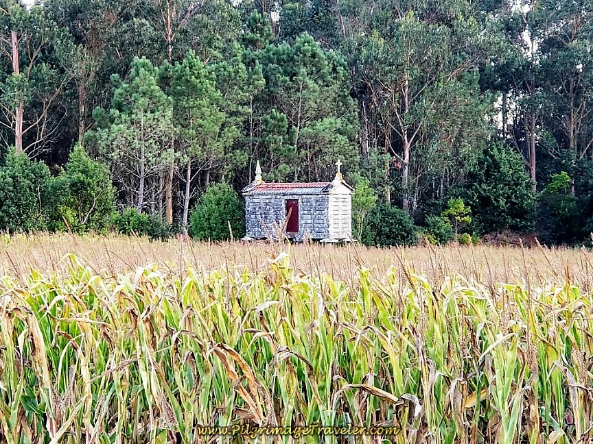 Hórreo in a Cornfield on day three of the Camino Finisterre to Muxía