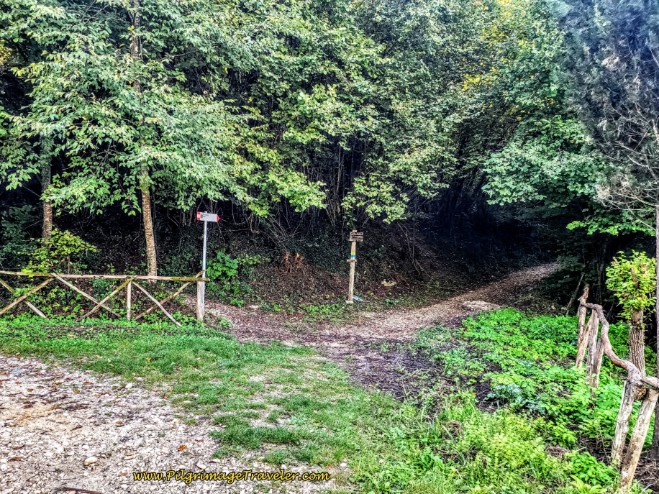 Way of St. Francis: Day Eighteen, Poggio Bustone to Rieti - Leave the Via Foresta for Path