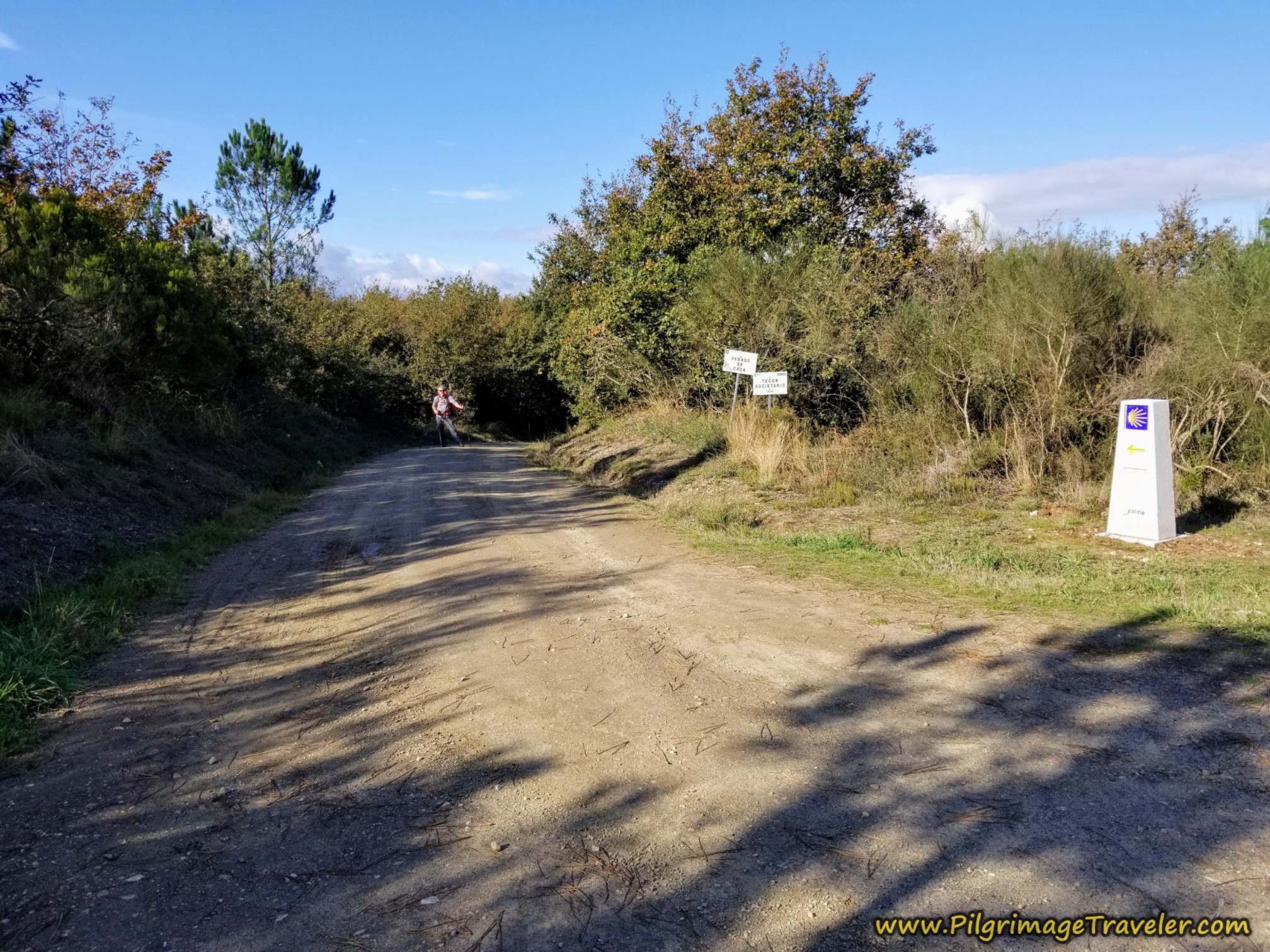 Left Turn at the Y-Intersection