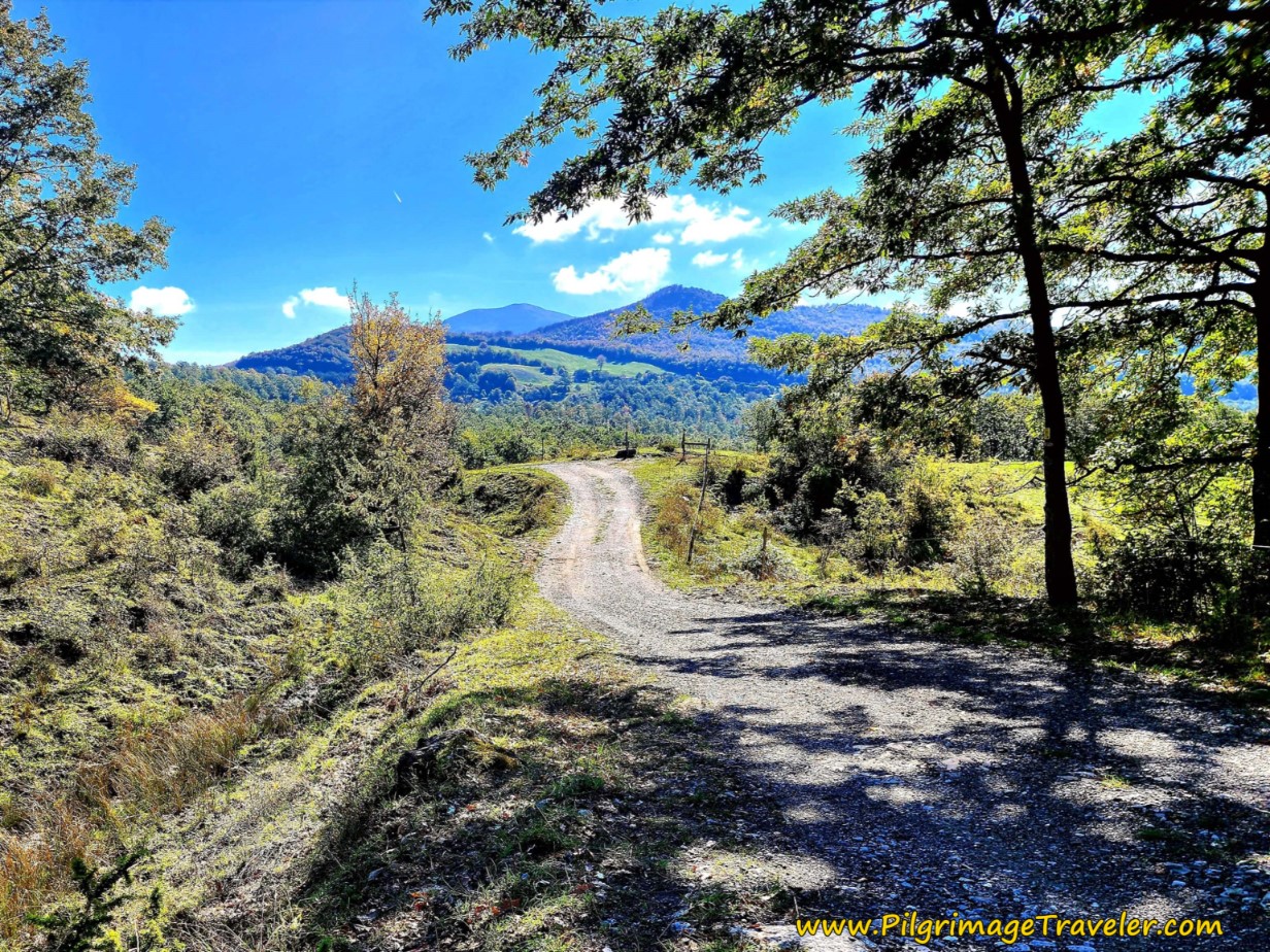 More Gorgeous Open Countryside