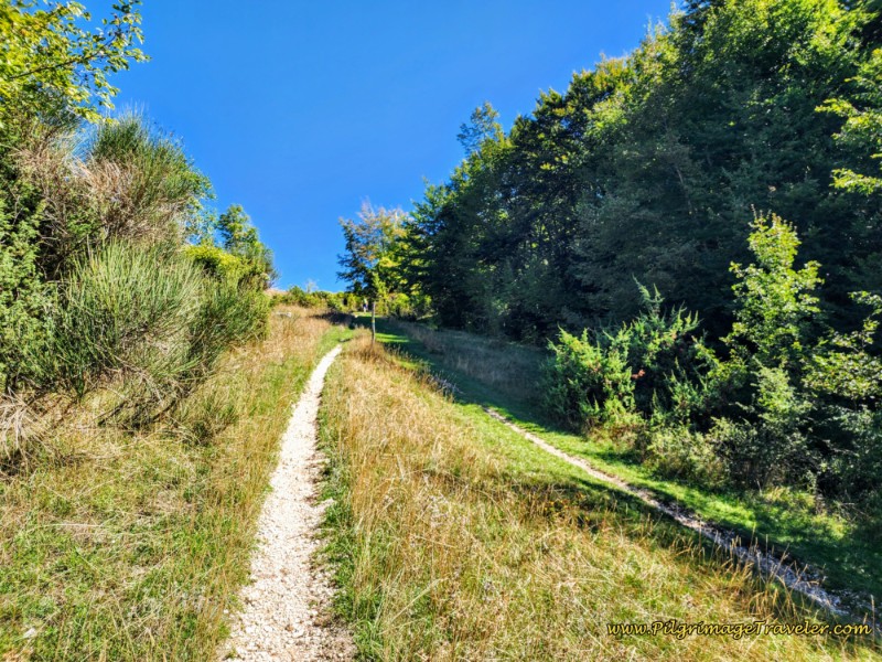 Way of St. Francis: Day Seventeen, Piediluco to Poggio Bustone - Parallel Trails