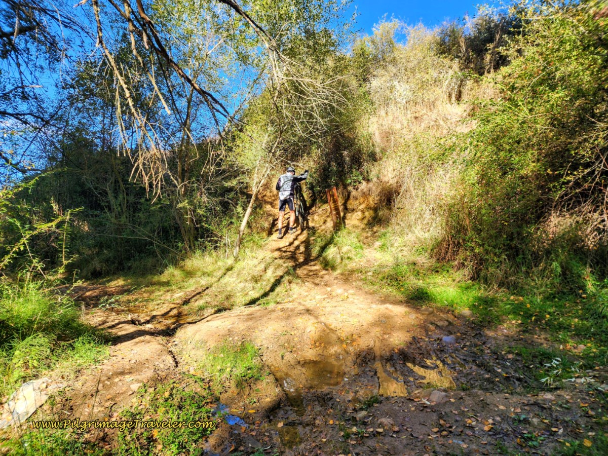 Right Turn Up the Hill on Day One of the Camino San Salvador