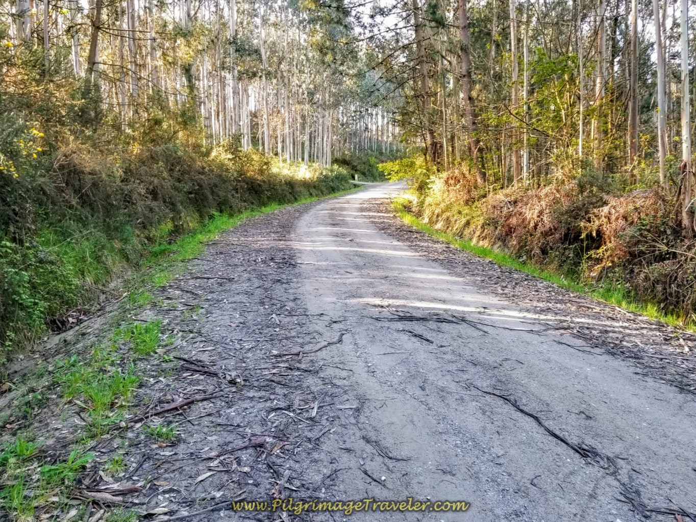 Still Climbing on day two of the La Coruña Arm of the Camino Inglés
