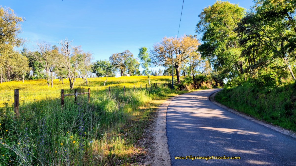 Estrada Giesteira to Calvinos