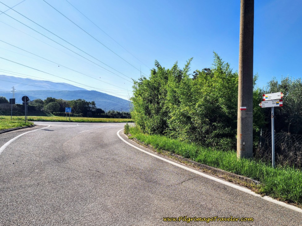 Way of St. Francis: Day Twelve, Spello to Trevi - Straight Onward at Intersection