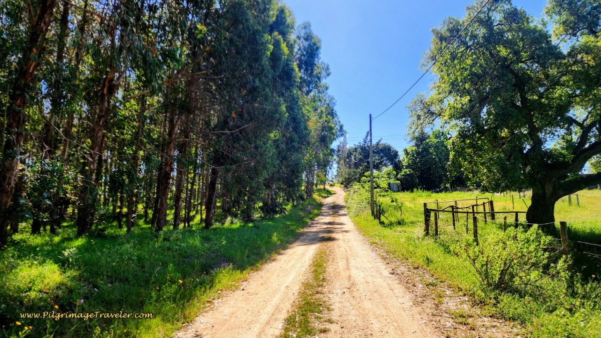 Turn Right onto Open Dirt Lane