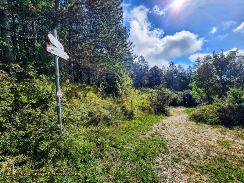 Way of St. Francis: Day Fifteen, Spoleto to Macenano - Forcella de Castelmonte, Ultimate Top at 7.1 Kilometers