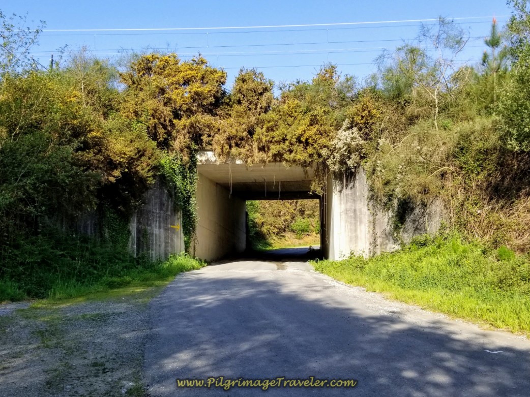 Walk Under Railroad Tracks on day eight of the Camino Inglés Walk Under Railroad Tracks on day eight of the Camino Inglés