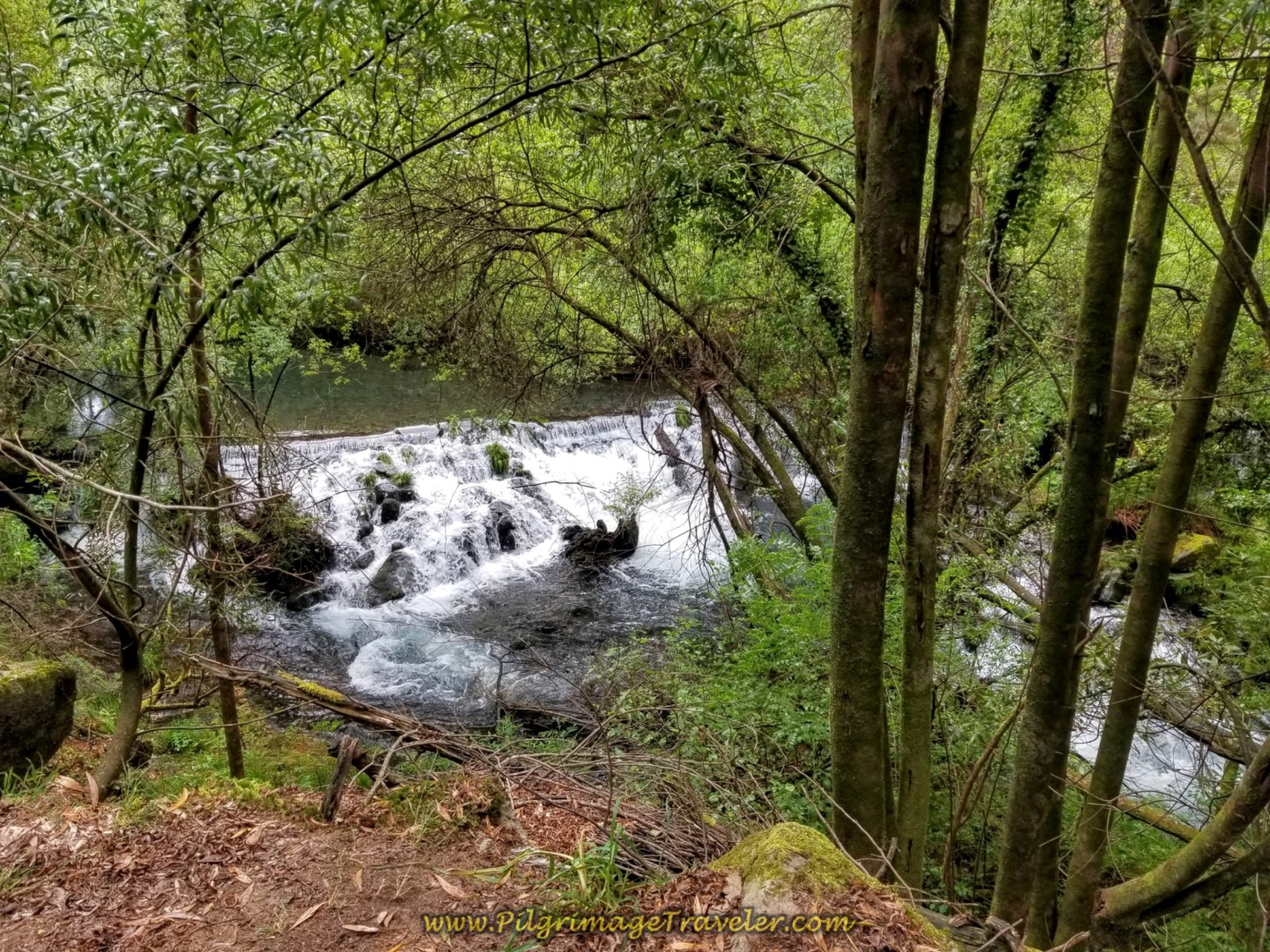 Walking by an Inviting Waterfall on day eighteen on the Central Route of the Portuguese Camino