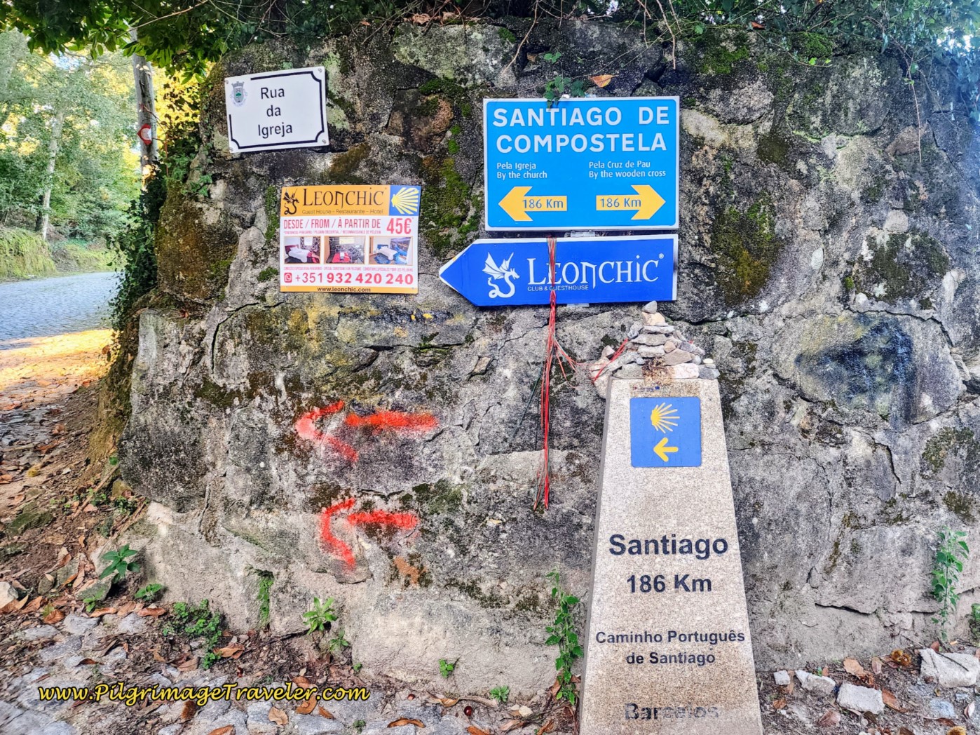 Decision Point Before Tamel Decision Point Before Tamel