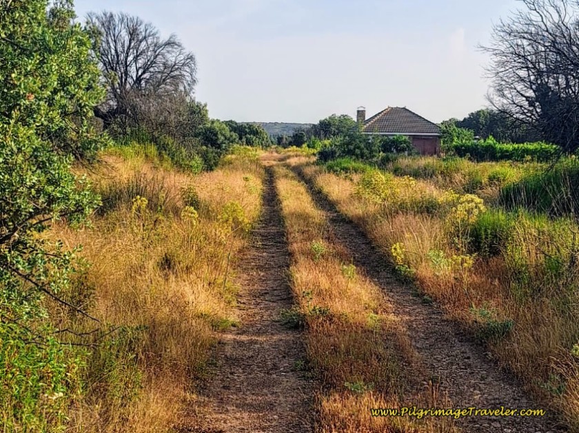 Right Turn Before Abandoned House