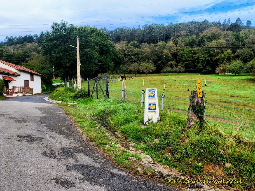 Waymark at Turn for the Municipal Albergue