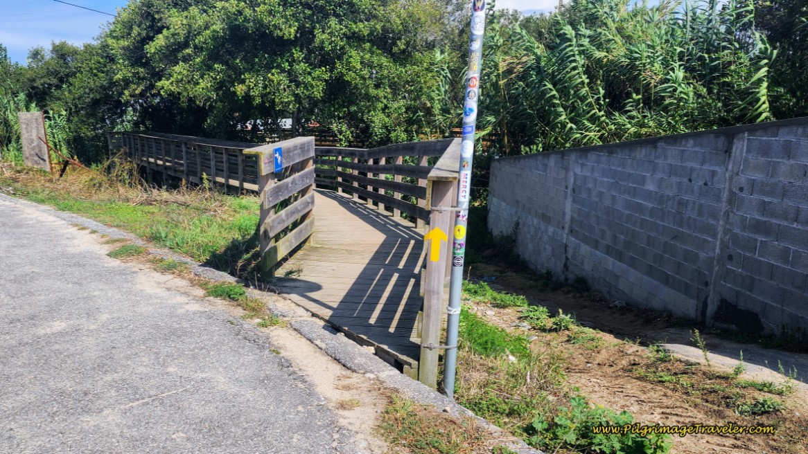 Re-Enter Final Section of Boardwalk