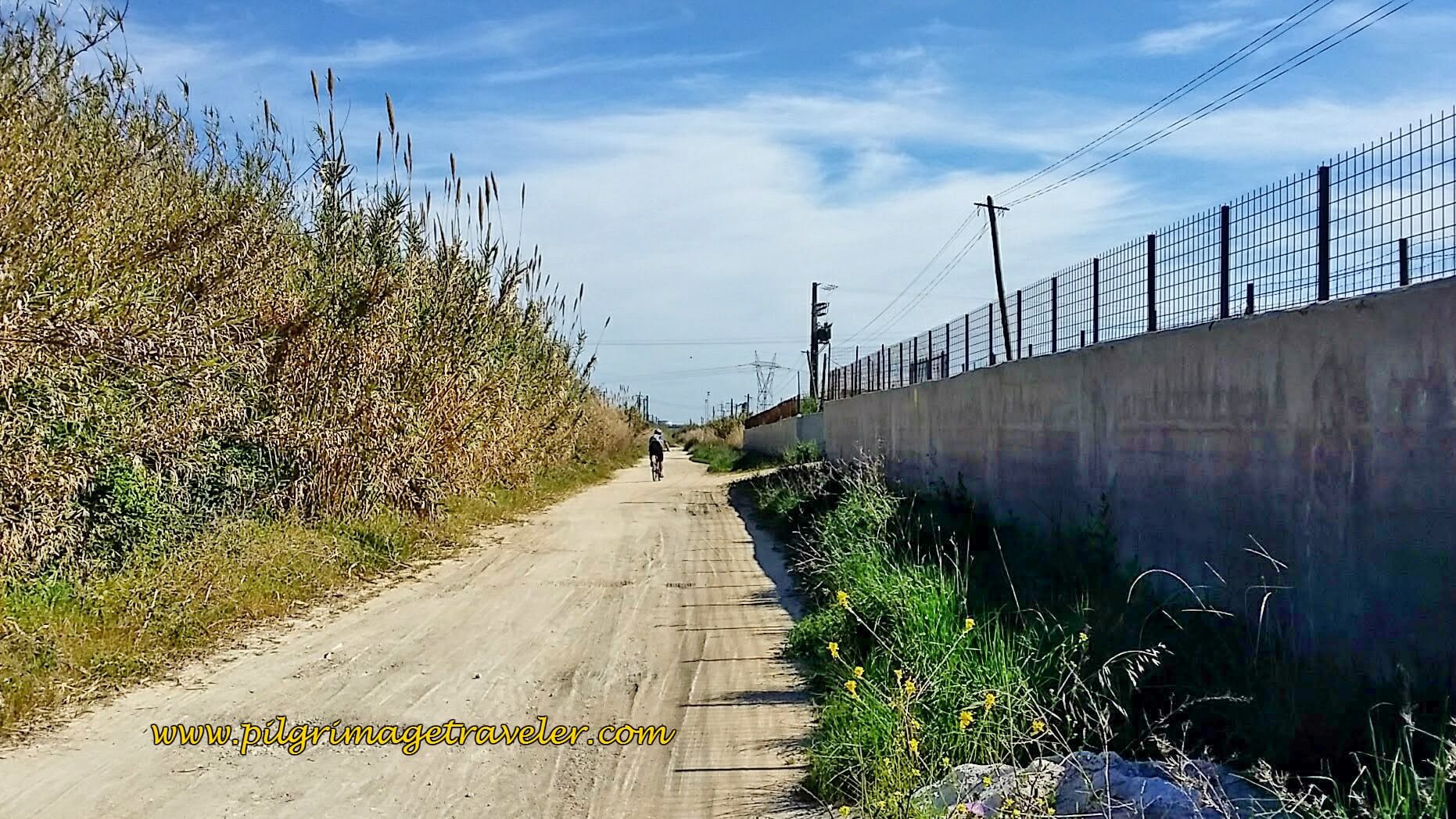 Lane Joins the Railroad Tracks, walking towards Castanheira do Ribatejo