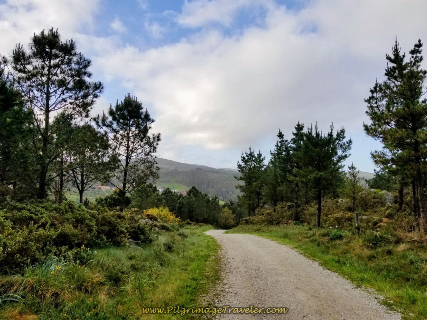 The Camino Finisterre Heads Downhill on Day Three